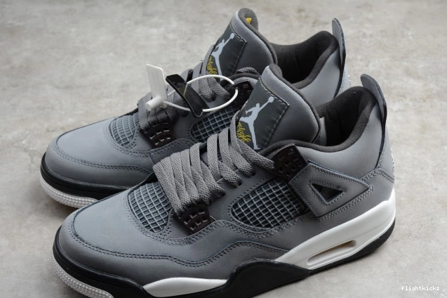 Cool Grey 308497-007 Jordan Retro (2019) Air 4 0711